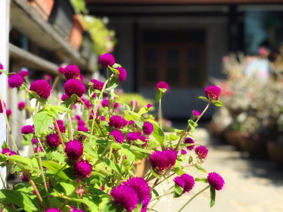 Mangrove House Lanta Old Town Hotel Koh Lanta Exterior photo